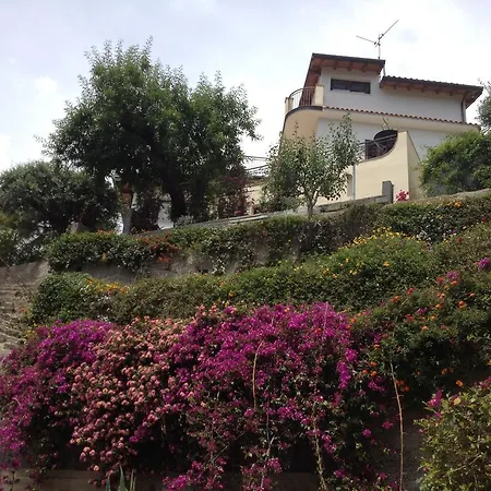 Antheus